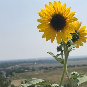 Meet your Posher, Lhotse